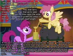 Size: 1197x918 | Tagged: safe, derpibooru import, edit, edited screencap, screencap, berry punch, berryshine, dizzy twister, orange swirl, earth pony, pegasus, pony, background pony, bible verse, cider, drunk, duo, female, flying, grin, hoof hold, hooves, ladle, mare, mug, religion, smiling, solo, spread wings, tankard, text, wall of text, wings