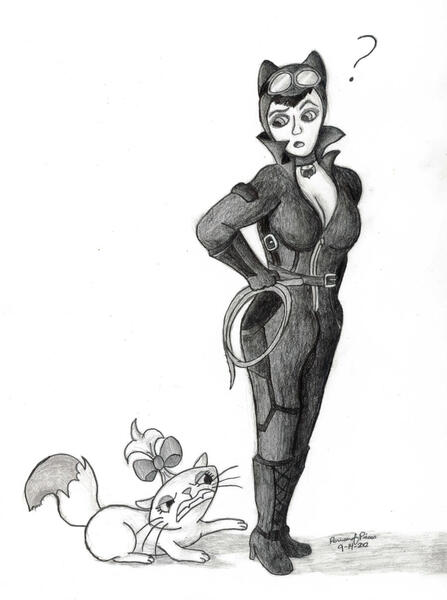 catwoman arkham city drawing