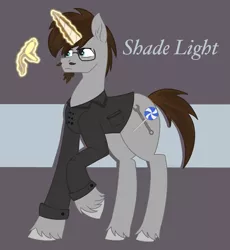 Size: 1867x2026 | Tagged: safe, artist:dyonys, derpibooru import, oc, unofficial characters only, unicorn, abstract background, clothes, glasses, magic, male, raised hoof, stallion, text, ushorn feltlocks, watch