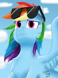 Size: 1200x1600 | Tagged: safe, artist:endertony, derpibooru import, rainbow dash, pegasus, pony, cheek fluff, chest fluff, cloud, cute, dashabetes, ear fluff, signature, sky, smiling, solo, sunglasses