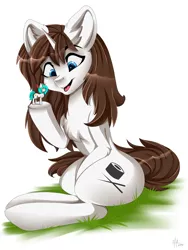 Size: 3000x4000 | Tagged: safe, artist:athenawhite, derpibooru import, oc, oc:flower star, oc:ping, pony, blue eyes, brown mane, cute, female, fluffy, food, macro, mare, micro, sushi, white coat