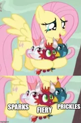 Size: 500x761 | Tagged: safe, derpibooru import, edit, edited screencap, screencap, baby cinder, baby rubble, baby sparks, fiery, fluttershy, prickles, sparks (g1), dragon, pegasus, pony, sweet and smoky, baby, baby dragon, cropped, cute, female, flying, g1, headcanon, mare, name suggestions, shyabetes, sparks, suggestion