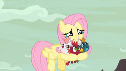 Size: 450x253 | Tagged: safe, derpibooru import, edit, screencap, baby cinder, baby rubble, baby sparks, fluttershy, dragon, pegasus, pony, sweet and smoky, animated, baby, baby dragon, cropped, cute, eye shimmer, eyes closed, female, flying, hug, loop, mare, nuzzles, nuzzling, shyabetes, weapons-grade cute