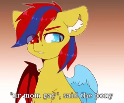 Size: 2400x2000 | Tagged: safe, artist:etoz, derpibooru import, oc, oc:starflame blood, unofficial characters only, pegasus, pony, bat wings, chest fluff, commission, disgusted, ear fluff, eyebrows, gradient background, looking at someone, male, meme, meme origin, solo, stallion, text, wingding eyes, wings, ych result