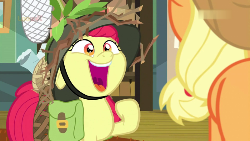 Size: 1920x1080 | Tagged: safe, derpibooru import, screencap, apple bloom, earth pony, pony, going to seed, adorabloom, bag, cute, female, filly, floppy ears, helmet, saddle bag, smiling, solo focus