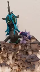 Size: 1836x3264 | Tagged: alicorn, artist:tinyequine, changeling, derpibooru import, female, figurine, food, irl, merchandise, mushroom, mushrooms, oyster mushroom, photo, plushie, queen chrysalis, safe, twilight sparkle, twilight sparkle (alicorn)