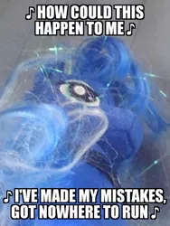 Size: 780x1040 | Tagged: safe, derpibooru import, editor:apex soundwave, photographer:apex soundwave, princess luna, alicorn, pony, caption, female, how could this happen to me, image macro, impact font, mare, meme, messy mane, photo, plushie, simple plan, solo, song reference, text, ty, untitled (song)