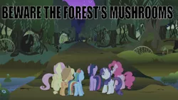 Size: 666x376 | Tagged: safe, derpibooru import, edit, edited screencap, editor:undeadponysoldier, screencap, applejack, fluttershy, pinkie pie, rainbow dash, rarity, twilight sparkle, earth pony, pegasus, pony, unicorn, friendship is magic, applejack's hat, caption, cowboy hat, everfree forest, female, forest maze, hat, image macro, mane six, mare, reference, super mario rpg, text, tree