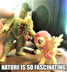 Size: 500x531 | Tagged: safe, artist:dex stewart, derpibooru import, fluttershy, pony, bandai, captioned, exploitable meme, invenusable flytrap, meme, mighty morphin power rangers, nature is so fascinating, obligatory pony, photo, power rangers, toy