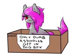 Size: 1532x1106 | Tagged: safe, artist:fluor1te, derpibooru import, oc, oc:fluorite, unofficial characters only, earth pony, pony, box, box meme, exploitable meme, female, mare, meme, red eyes, simple background, sitting, solo, transparent background, vulgar