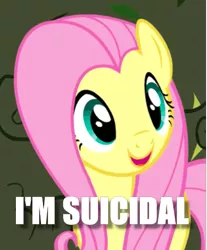 Size: 429x519 | Tagged: caption, cropped, derpibooru import, dissonant caption, edit, edited screencap, fluttershy, image macro, safe, screencap, solo, suicidal, text, the return of harmony