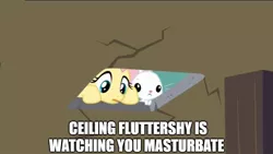 Size: 882x498 | Tagged: suggestive, derpibooru import, edit, edited screencap, screencap, angel bunny, fluttershy, pony, between dark and dawn, caption, ceiling cat, cropped, cute, female, image macro, implied masturbation, mare, meme, meme text, stare, text