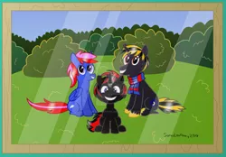 Size: 1024x714 | Tagged: safe, artist:sorasleafeon, derpibooru import, oc, oc:alto wisp, oc:penumbra crescent, oc:shadow sora, unofficial characters only, pegasus, pony, unicorn, blue sky, bush, childhood, childhood innocence, colt, family, family photo, grass, happiness, happy, looking at you, male, picture, picture frame, signature, smiling, sunny day, trio, younger