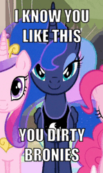 Size: 203x340 | Tagged: safe, derpibooru import, edit, edited screencap, screencap, pinkie pie, princess cadance, princess luna, pony, to where and back again, animated, bedroom eyes, breaking the fourth wall, bronybait, caption, cropped, image macro, looking at you, she knows, stupid sexy princess luna, talking to viewer, text