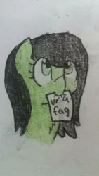 Size: 720x1280 | Tagged: artist needed, safe, derpibooru import, oc, oc:anonfilly, unofficial characters only, earth pony, pony, bust, chest fluff, faggot, female, filly, looking up, mouth hold, paper, sketch, traditional art, ur a faget, vulgar