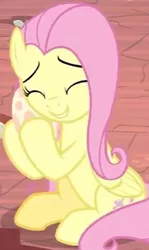 Size: 224x375 | Tagged: safe, derpibooru import, screencap, fluttershy, pegasus, pony, sweet and smoky, cropped, cute, egg, female, fluttermom, hug, mama fluttershy, mare, shyabetes
