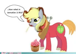Size: 500x351 | Tagged: 1000 hours in ms paint, artifact, big macintosh, cupcake, derpibooru import, derpy hooves, exploitable meme, food, meme, my little brony, old meme, safe, speech bubble, what in tarnation