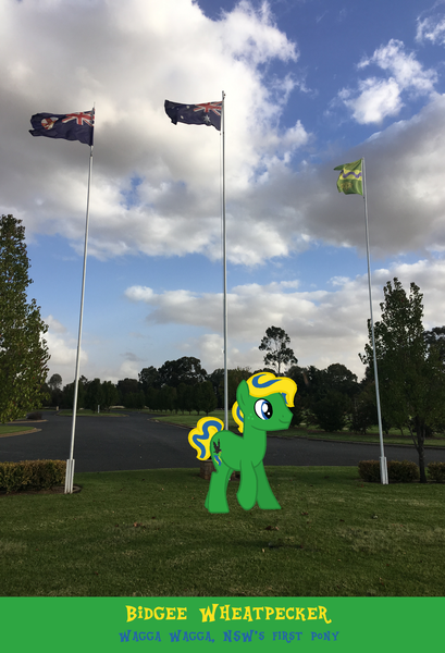 Size: 1648x2420 | Tagged: safe, derpibooru import, oc, oc:bidgee wheatpecker, pony, australia, flag, irl, new south wales, photo, wagga wagga