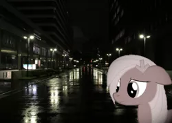 Size: 669x476 | Tagged: safe, derpibooru import, edit, editor:undeadponysoldier, oc, oc:downvote, ponified, earth pony, pony, derpibooru, building, city, depressing, derpibooru ponified, irl, meta, midnight, photo, ponies in real life, rain, reflection, road, sad, solo, streetlight