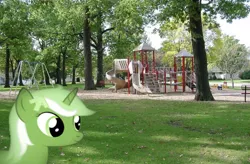 Size: 668x439 | Tagged: safe, derpibooru import, edit, editor:undeadponysoldier, oc, oc:upvote, ponified, unofficial characters only, pony, unicorn, derpibooru, bench, derpibooru ponified, female, grass, irl, mare, meta, park, photo, playground, ponies in real life, slide, solo, swing set, tree