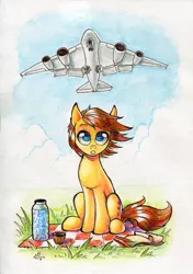 Size: 600x850 | Tagged: safe, artist:asimos, derpibooru import, oc, oc:maytee, earth pony, pony, grass, plane, scenery, solo