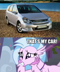 Size: 1500x1800 | Tagged: safe, derpibooru import, edit, edited screencap, screencap, silverstream, classical hippogriff, hippogriff, school daze, caption, car, cute, diastreamies, excited, female, grin, honda, honda stream, image macro, impact font, meme, namesake, pun, smiling, solo, text, that's my x, visual pun, wingding eyes