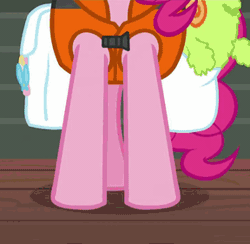 Size: 288x281 | Tagged: safe, derpibooru import, screencap, pinkie pie, earth pony, pony, ppov, animated, bag, cropped, cute, derp, diapinkes, eyes closed, faic, female, gif, lifejacket, luggage, mare, pinkie derp, ponk, saddle bag, smiling, solo, stick, thousand yard stare