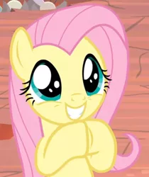 Size: 734x873 | Tagged: safe, derpibooru import, screencap, fluttershy, pony, sweet and smoky, cropped, cute, daaaaaaaaaaaw, excited, female, grin, hnnng, hooves together, mare, shyabetes, smiling, solo, weapons-grade cute