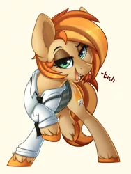 Size: 1200x1600 | Tagged: safe, artist:kellythedrawinguni, artist:thegamblehorse, deleted from derpibooru, derpibooru import, oc, oc:parlay, unofficial characters only, earth pony, pony, clothes, female, freckles, misspelling, necktie, shirt, simple background, text, unshorn fetlocks, vest, vulgar, white background
