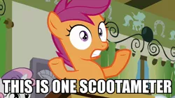 Size: 640x360 | Tagged: episode needed, safe, derpibooru import, edit, edited screencap, screencap, scootaloo, sweetie belle, pegasus, pony, unicorn, caption, classroom, cute, exploitable meme, female, filly, image macro, math, meme, science, solo focus, text