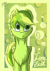 Size: 700x1000 | Tagged: safe, artist:chebypattern, derpibooru import, oc, oc:lime zest, pegasus, pony, green background, lime, male, simple background, smiling, solo, stallion