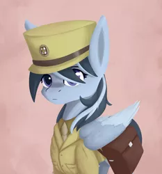 Size: 1820x1950 | Tagged: safe, artist:phi, derpibooru import, oc, unofficial characters only, pegasus, pony, equestria at war mod, clothes, simple background, solo