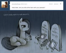 Size: 1280x1034 | Tagged: safe, artist:lonelycross, derpibooru import, marble pie, pony, ask lonely inky, ask, bouquet, choker, comic, dead parents, death, dialogue, flower, grave, implied parents, lonely inky, photo, question, rain, sad, talking, tumblr
