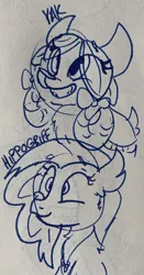 Size: 1627x3099 | Tagged: artist:rainbow eevee, bust, cute, derpibooru import, diastreamies, drawing, female, hippogriff, lineart, safe, silverstream, smiling, traditional art, yak, yona, yonadorable