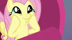 Size: 1920x1080 | Tagged: safe, derpibooru import, screencap, fluttershy, pegasus, pony, sweet and smoky, cute, daaaaaaaaaaaw, dashface, faic, female, fluttershy is best facemaker too, mare, shyabetes, so awesome, solo