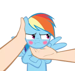 Size: 10417x9775 | Tagged: safe, artist:mrkat7214, derpibooru import, rainbow dash, human, pegasus, pony, :t, absurd resolution, blushing, chin scratch, cute, dashabetes, hand, human on pony petting, offscreen character, offscreen human, petting, pov, rainbow dash is not amused, show accurate, simple background, spread wings, transparent background, tsunderainbow, tsundere, unamused, vector, wings