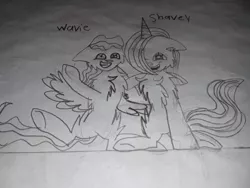 Size: 1098x824 | Tagged: safe, artist:christle-flyer-ssl, derpibooru import, oc, oc:shavey, oc:wavie, unofficial characters only, pegasus, pony, unicorn, female, filly, foal, horn, irl, male, photo, smiling, traditional art, wings