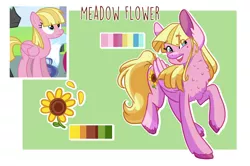 Size: 2056x1364 | Tagged: safe, artist:spookierdeer, derpibooru import, meadow flower, pegasus, pony, beauty mark, cheek fluff, chest fluff, color palette, cute, cutie mark, ear fluff, eye clipping through hair, mole, neck fluff, open mouth, solo, unshorn fetlocks