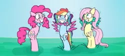 Size: 725x325 | Tagged: dead source, suggestive, artist:nxzc88, derpibooru import, fluttershy, pinkie pie, rainbow dash, earth pony, original species, pegasus, plant pony, pony, alternate hairstyle, armless, body modification, colored, female, flower, forced smile, grin, inanimate tf, nonsense tf, pigtails, plant, plant tf, sketch, smiling, spread wings, transformation, transformed, trio, trio female, wiggle, wings