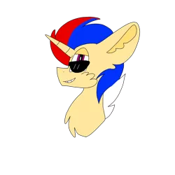 Size: 1378x1378 | Tagged: safe, artist:circuspaparazzi5678, derpibooru import, oc, oc:daring bash, unofficial characters only, pony, unicorn, australian, redesign, sunglasses