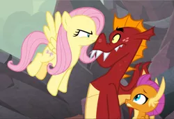 Size: 1361x939 | Tagged: safe, derpibooru import, screencap, fluttershy, garble, smolder, dragon, pegasus, pony, sweet and smoky, angry, badass, boop, cropped, dragoness, fangs, female, flutterbadass, fluttershy is not amused, flying, glare, looking at each other, male, mare, narrowed eyes, spread wings, unamused, wings