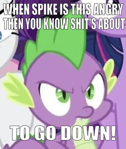 Size: 666x788 | Tagged: safe, derpibooru import, edit, edited screencap, editor:undeadponysoldier, screencap, rarity, spike, twilight sparkle, twilight sparkle (alicorn), alicorn, dragon, unicorn, school raze, angry, caption, cropped, female, image macro, looking at you, male, mare, shit's about to go down, text, vulgar, winged spike