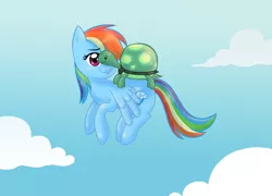 Size: 960x690 | Tagged: safe, artist:milleniumdream, derpibooru import, rainbow dash, tank, pegasus, pony, tortoise, cloud, cute, dashabetes, duo, female, flying, male, mare, sky