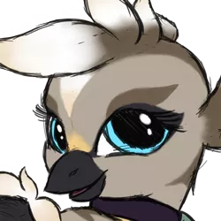 Size: 512x512 | Tagged: artist:trefoiler, bust, choker, derpibooru import, female, hippogriff, icon, looking at you, looking back, looking back at you, oc, oc:aranth, portrait, safe, simple background, solo, transparent background, unofficial characters only