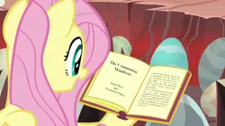 Size: 960x540 | Tagged: safe, derpibooru import, edit, edited screencap, screencap, fluttershy, pony, sweet and smoky, book, communism, communist manifesto, egg, frederick engels, karl marx, meme, meme edit, solo