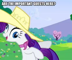 Size: 601x500 | Tagged: safe, derpibooru import, edit, edited screencap, screencap, rarity, pony, unicorn, a canterlot wedding, caption, cropped, derp, hat, image macro, solo, text