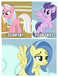 Size: 3106x4096 | Tagged: caption, clear skies, clear sky, common ground, derpibooru import, edit, edited screencap, image macro, know the difference, safe, screencap, sunshower, tanks for the memories, text, unamused, who's on first?