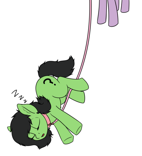 Size: 3000x3300 | Tagged: safe, artist:smoldix, derpibooru import, twilight sparkle, oc, oc:anonfilly, pony, collar, eyes closed, female, filly, leash, offscreen character, onomatopoeia, ponified animal photo, pony pet, side, sleeping, solo focus, sound effects, underhoof, zzz