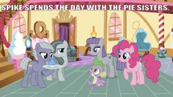 Size: 641x359 | Tagged: artist needed, safe, derpibooru import, edit, edited screencap, editor:undeadponysoldier, screencap, limestone pie, marble pie, maud pie, pinkie pie, spike, dragon, earth pony, pony, bed, bedroom, caption, chair, crack shipping, cupcake, female, flower, food, happy, image macro, lamp, lucky bastard, male, marblespike, mare, maudspike, pie sisters, pinkiespike, plate, potted plant, raised hoof, sapphire, sapphire cupcake, shipping, siblings, sisters, sitting, smiling, sofa bed, spending time, spike gets all the mares, spike gets all the pie sisters, spikelove, spikestone, straight, sugarcube corner, text, window