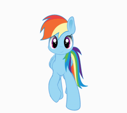 Size: 850x750 | Tagged: safe, artist:thesamstudio, derpibooru import, rainbow dash, pegasus, pony, animated, cute, dashabetes, female, gif, hooves, mare, open mouth, sim, simple background, singing, solo, white background, wings